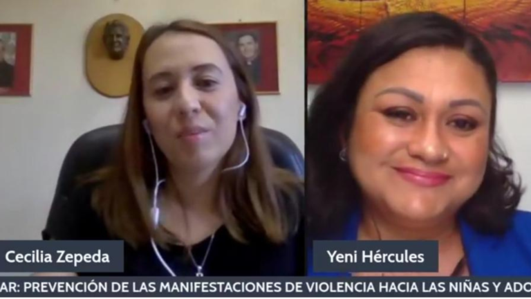 Webinar on the Prevention of manifestations of violence in girls and teenagers.